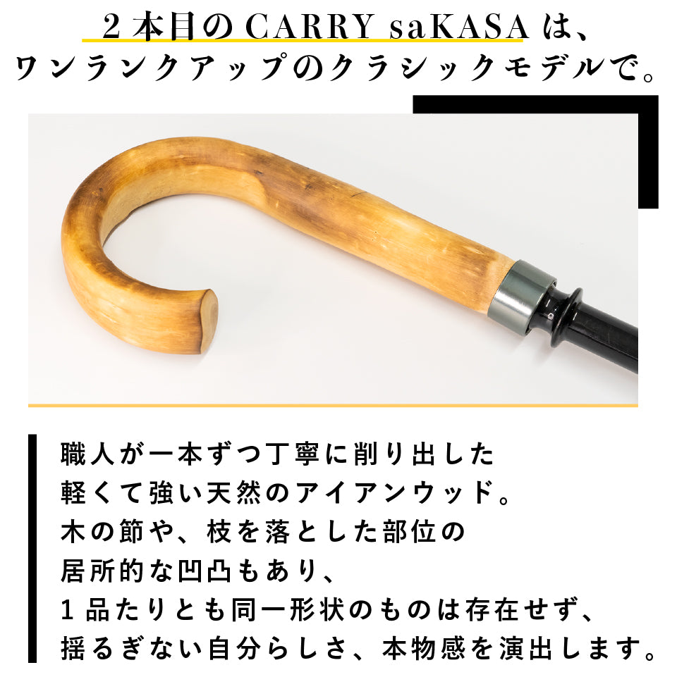 Classic Model L size