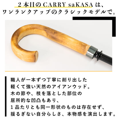 Classic Model L size