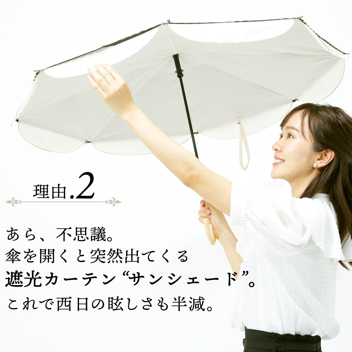 Sunshut Standard